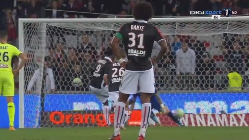 西班牙人举办“鹦鹉不离弃”活动，用待领养狗狗组成特殊阵容（西班牙人发起“鹦鹉不离弃”公益活动，用待领养犬组建独特阵容）